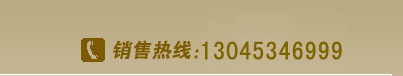 ���ߵ绰��13045346999